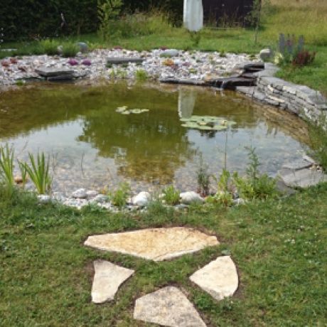 Biotope conçu par François Weber avec muret sec en pierres naturelles, cascade et circulation d'eau en circuit fermé, trop-plein alimentant un petit bassin en pierre taillée 