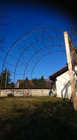 Structure de pergola en fer à béton pour accueillir 2 kiwis. Magnifique couverture végétale qui offre une ombre fraiche 
