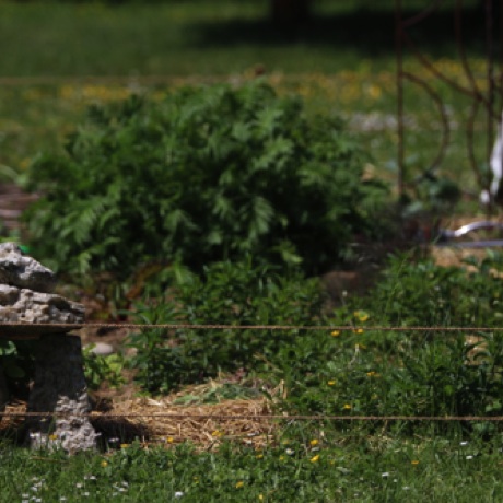Aide à la création d'un potager, conseil en aménagement et placement de pierres. Ici un petit dolmen surveille l'entrée Aide à la création d'un potager, conseil en aménagement et placement de pierres. Ici un petit dolmen surveille l'entrée